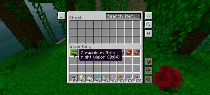 Inventory showing Suspicious Stew effect.
