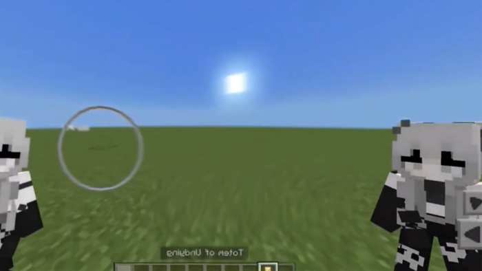 3D totem with enhanced skin model.