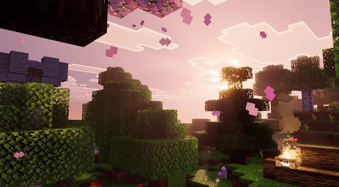 Sunset over lush, textured landscape.