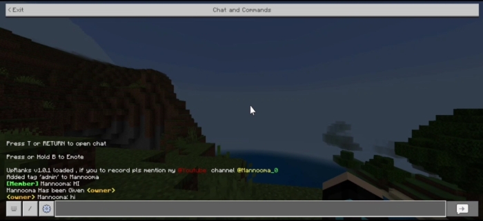 Chat window showing rank assignment.