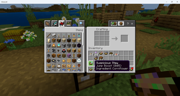 Inventory with Suspicious Stew details.