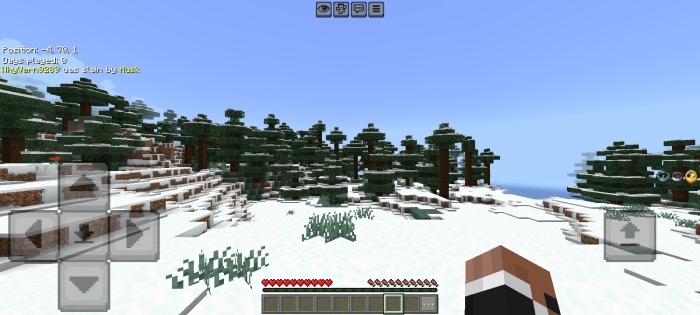 Snowy forest landscape with HUD.