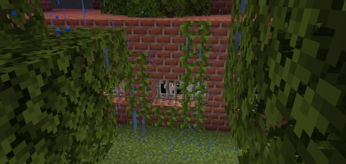 Brick wall with vines in the rain.