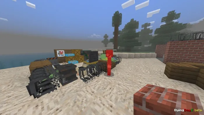 Blocky character near 3D items outdoors.