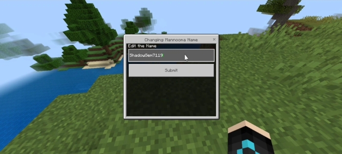 Editing player name in game interface.