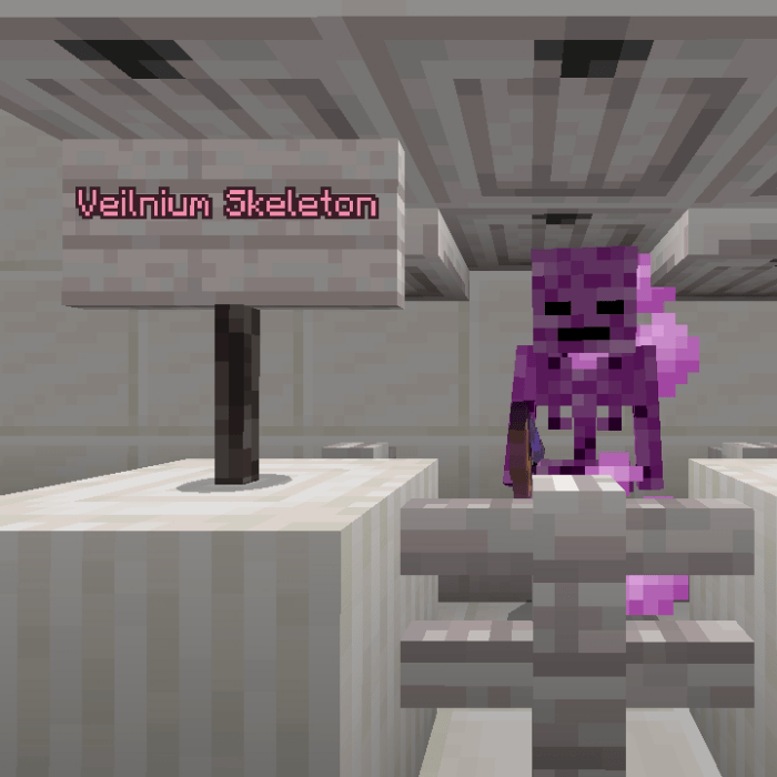 Veilnium Skeleton with a sign nearby.