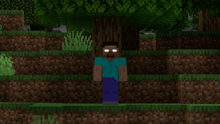 Herobrine in the forest.