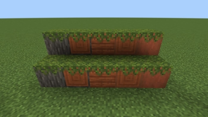 Mossed Acacia Log