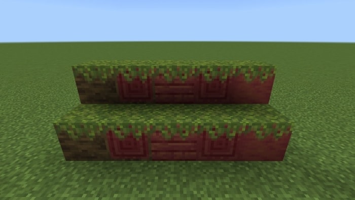 Mossed Mangrove Log