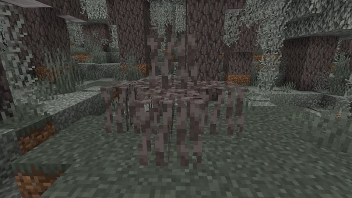 Pale Oak Roots