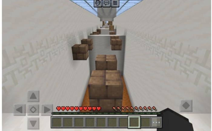 The Parkour'ers Dream screenshot №0