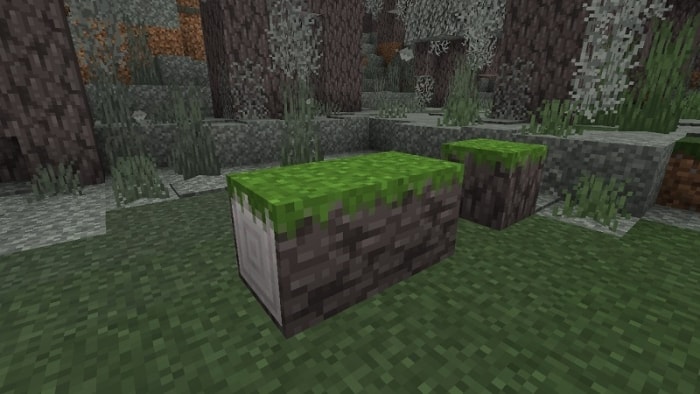 Grassed Pale Oak Log