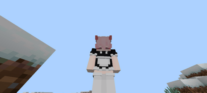 Player skin with 3D texture pack.