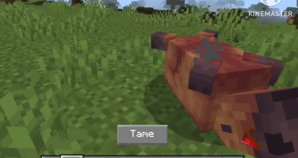 Blocky capybara lying on grassy terrain
