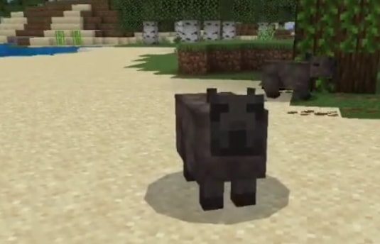 Blocky capybaras standing on sandy terrain