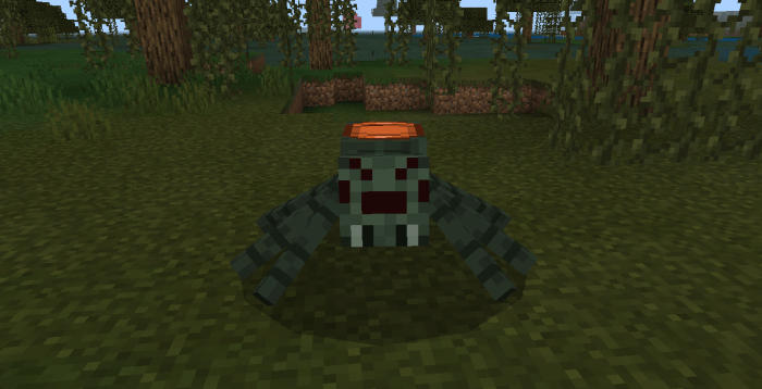 Spider with saddle in a forest.