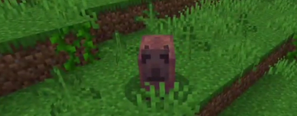 Blocky capybara standing on grassy terrain