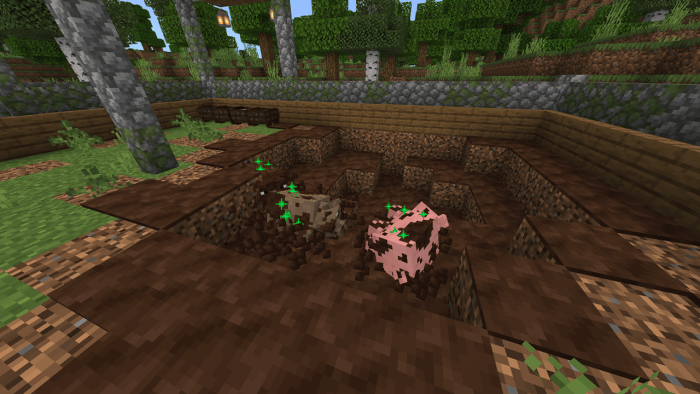 Pigs in a dirt enclosure on a farm.