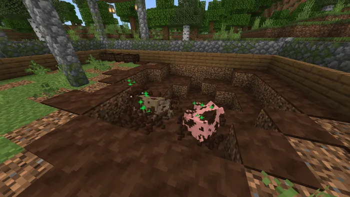 Pigs in a dirt enclosure on a farm.