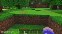 First-person view in a blocky forest.