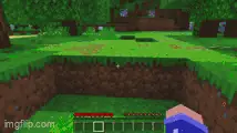 First-person view in a blocky forest.