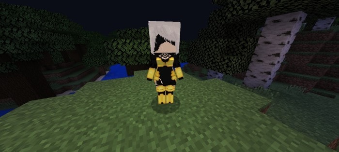 Character mod on a grassy block.