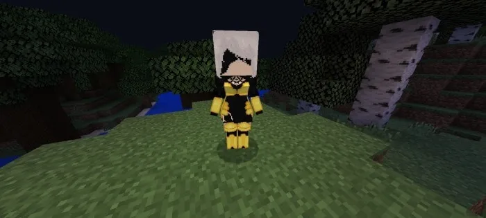 Character mod on a grassy block.