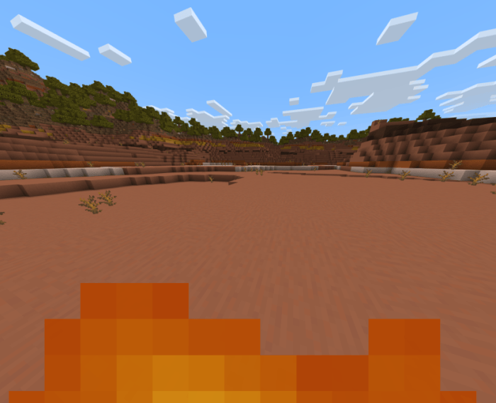 Low fire texture in desert landscape.