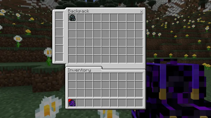 Backpack interface with slots open.