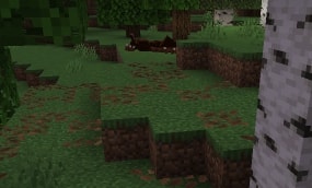 Dark creature lurking in a forest biome