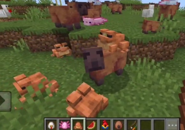 Blocky capybaras with animal buddies in grass