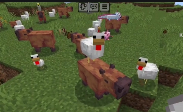 Chickens riding capybaras on grassy field