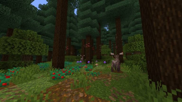 Dense forest with colorful flora and fauna.