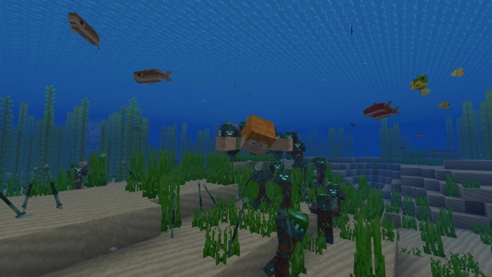 Character swimming among underwater mobs and fish