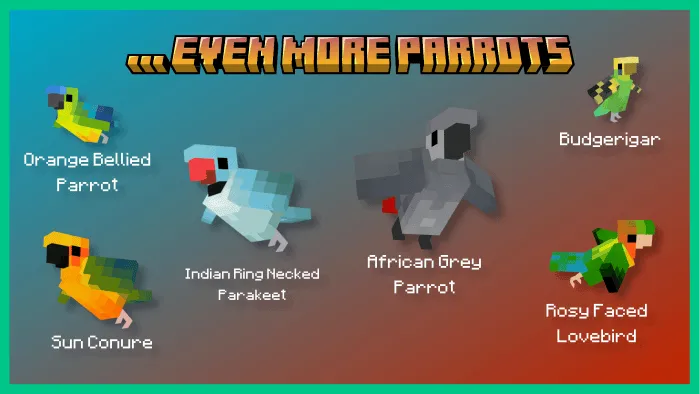 Colorful blocky parrots and parakeets lineup