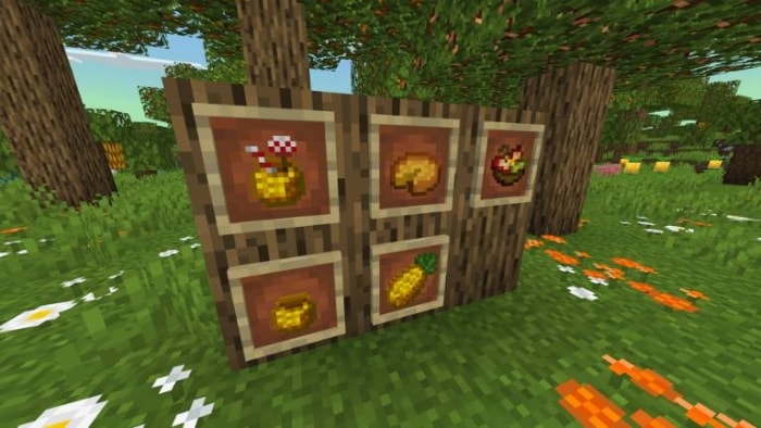 Framed new foods in a forest setting.