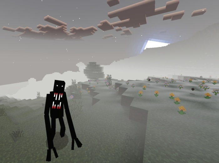 Tall, shadowy figure in foggy landscape.