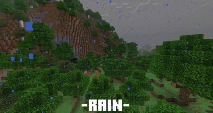 Rain