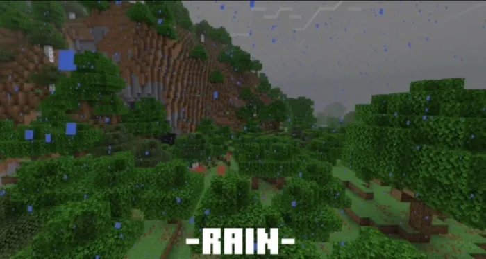 Rain