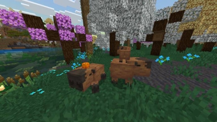 New biome with vibrant flora and fauna
