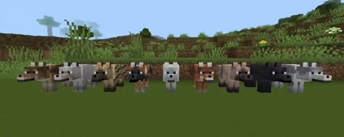 Row of decorative wolf-themed blocks outdoors