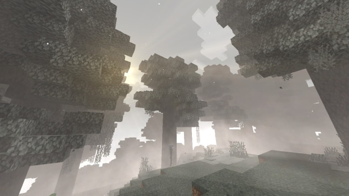 Foggy forest with sunlight through trees.