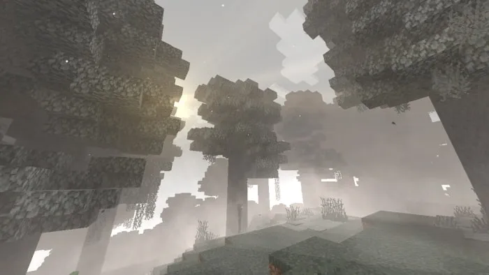 Foggy forest with sunlight through trees.