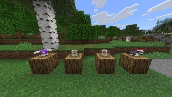 Four items displayed on logs outdoors.