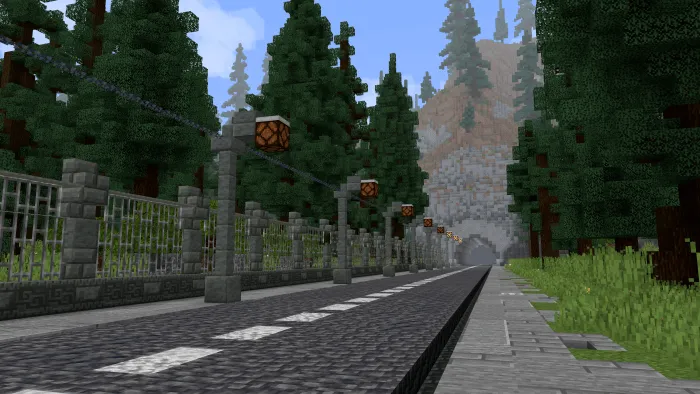 Road leading into a foggy forest tunnel