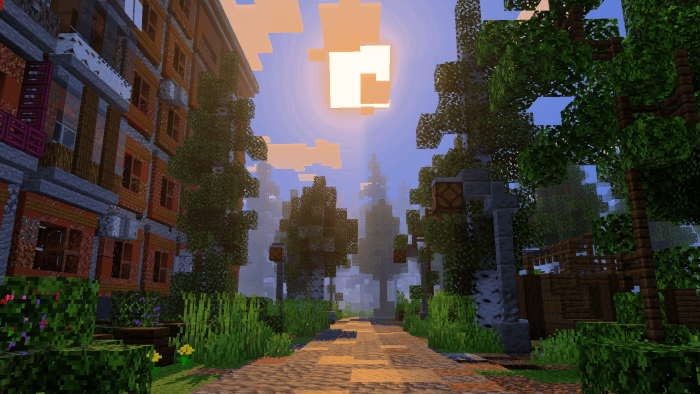 Dense atmospheric fog along a tree-lined path