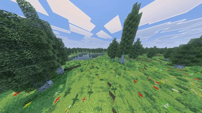 Lush forest with diverse flora.