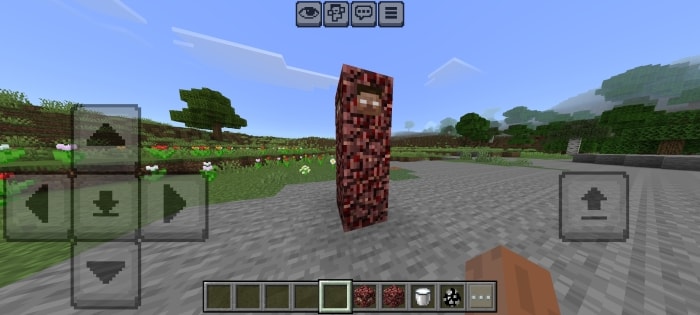 Blocky creature in a grassy landscape.