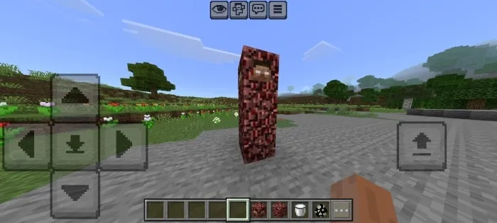 Blocky creature in a grassy landscape.