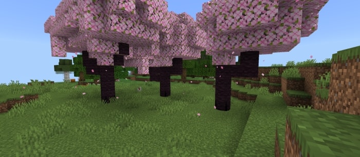 Cherry Log